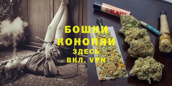 PSILOCYBIN Туринск