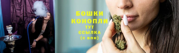 PSILOCYBIN Туринск