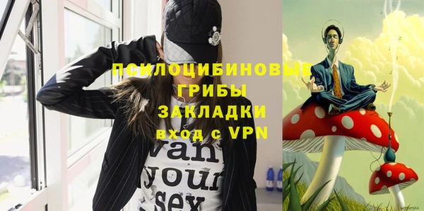 прущая мука Тында